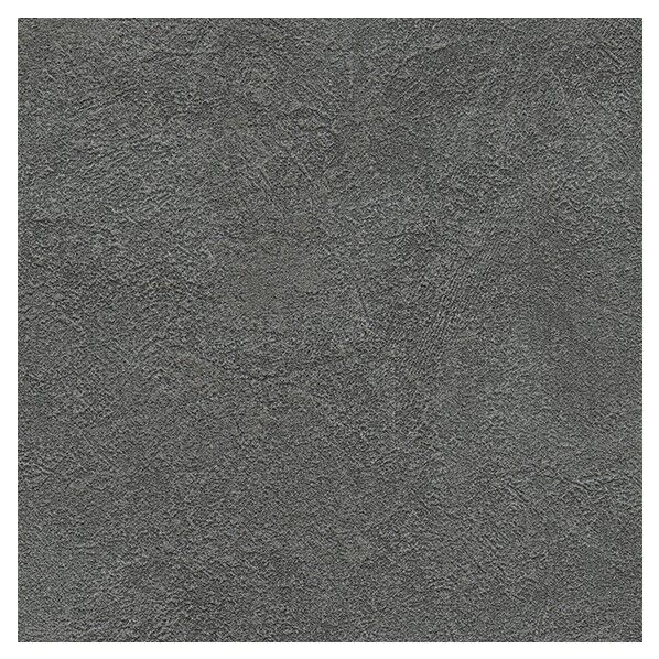 壁紙 ビッグエース ペット生活