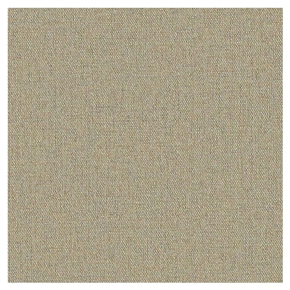 壁紙 ビッグエース ペット生活