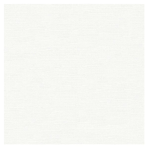 壁紙 ビッグエース ペット生活