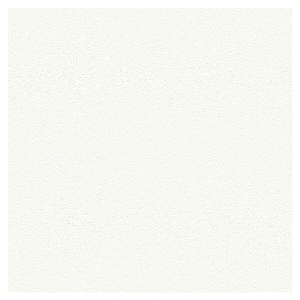 壁紙 ビッグエース プロジェクター用クロス