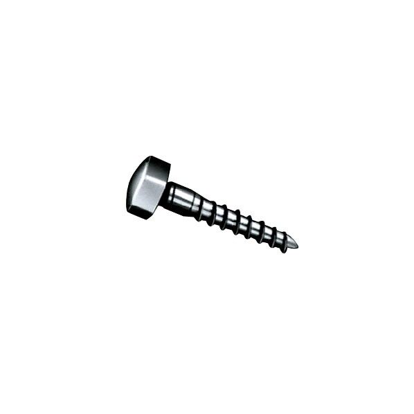 ACE(杉田エース) クローム 化粧ビス 6mm 1点