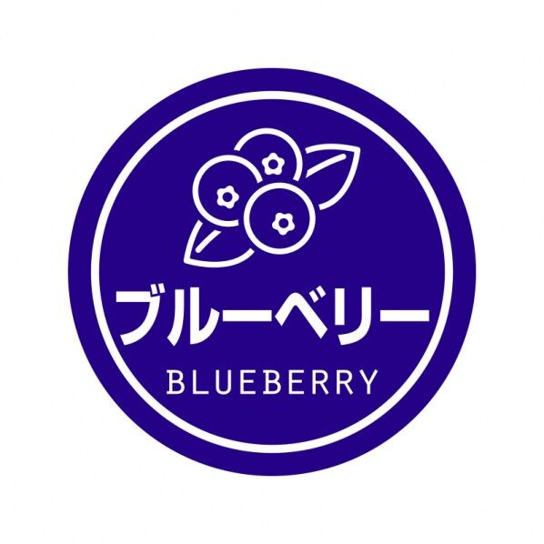 業務用テイスティシール ブルーベリー