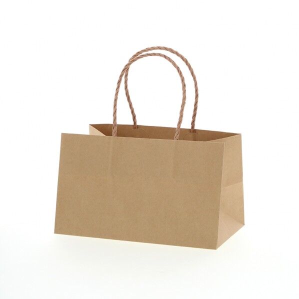 手提げ紙袋 Pスムースバッグ 25-15 未晒無地
