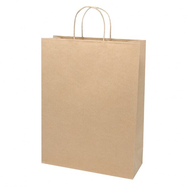 手提げ紙袋 スムースバッグ カスタム判 未晒無地