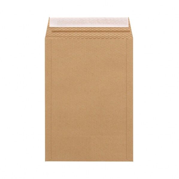 宅配平袋 クッション付き 220×310 未晒