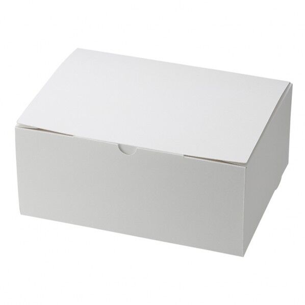 スリムエコケーキ箱 18×24 ケーキ8~9個用 ホワイト