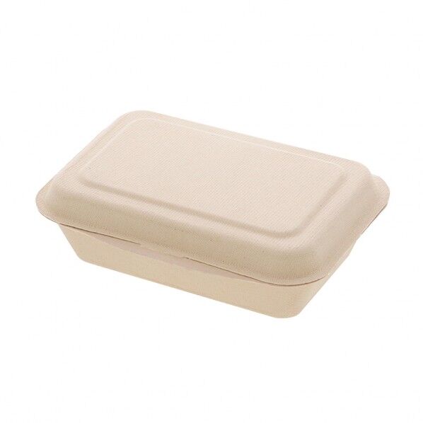 紙皿 バガスペーパーウェア プレート フードパック 450ml クラフト