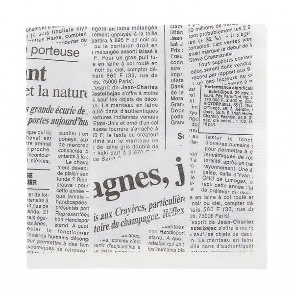 紙ナプキン 2プライ 四折 ニュースレター 白