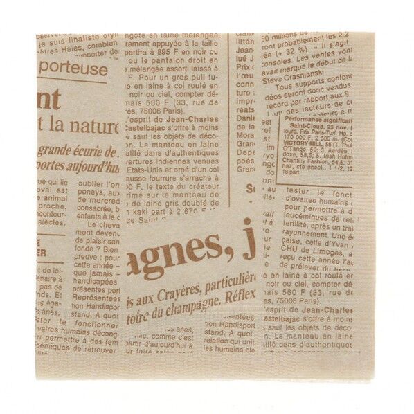 紙ナプキン 2プライ 四折 ニュースレター 未晒