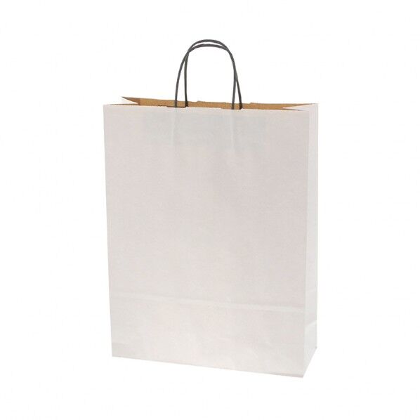 手提げ紙袋 25チャームバッグ 2才 エコデュオWH
