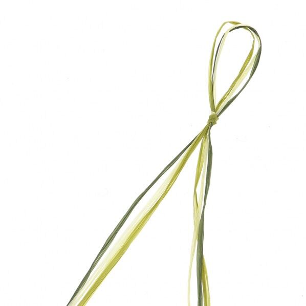 HEIKO レーヨンラフィア 3×30 ナチュラルグリーン 幅3mm×30m巻 001501913 1巻