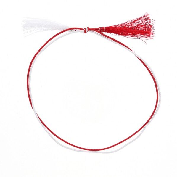 カラーゴム 細2重ゴム房 特中 40cm 赤白