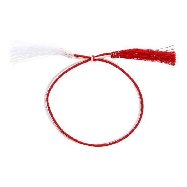 カラーゴム 細2重ゴム房 特小 26cm 赤白