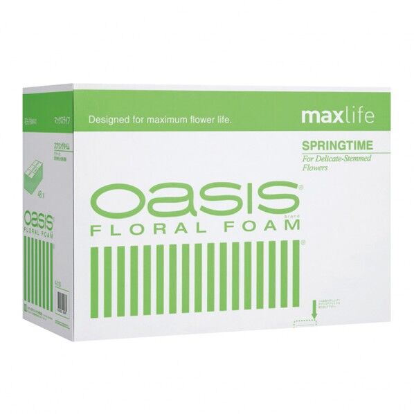 オアシス フローラルフォーム マックスライフ スプリングタイム