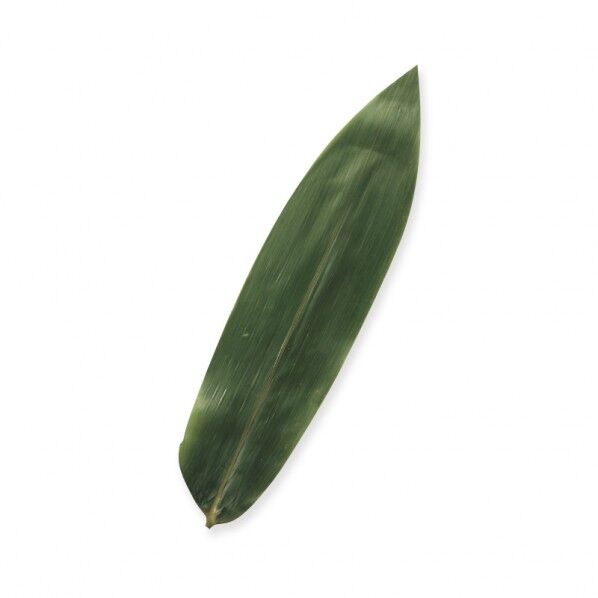 料理飾り 青笹 S