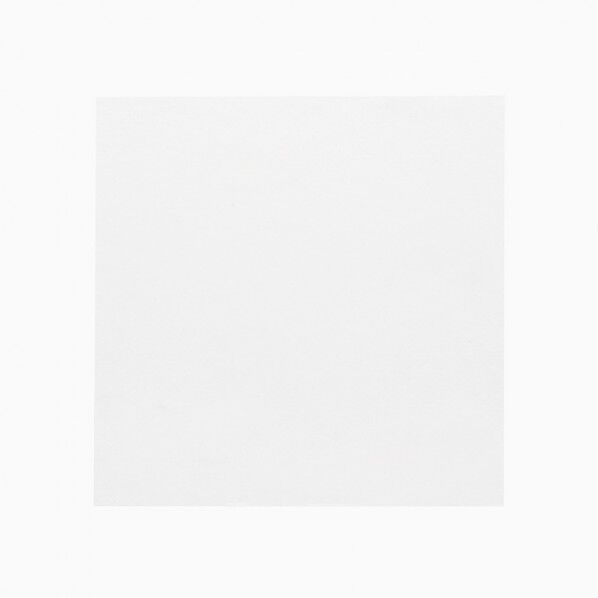 神堂 食品用フィルム 抗菌クリアシート 12×12 厚み:0.02mm/12×12cm 004716363 100枚