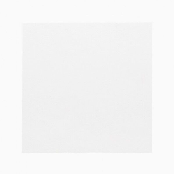 食品用フィルム 抗菌クリアシート 15×15