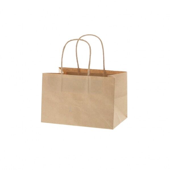 手提げ紙袋 オブロングバッグ 20-13 未晒無地