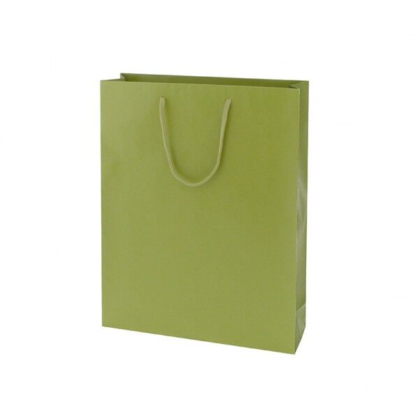 手提げ紙袋 カラーチャームバッグ 2才 ヒワ