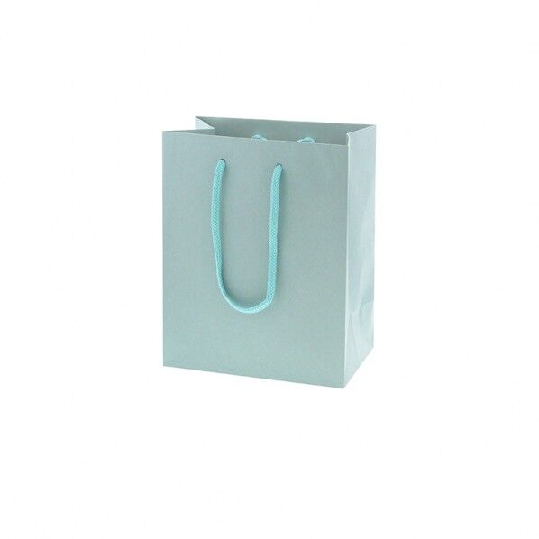 手提げ紙袋 カラーチャームバッグ 20-12 ミズ