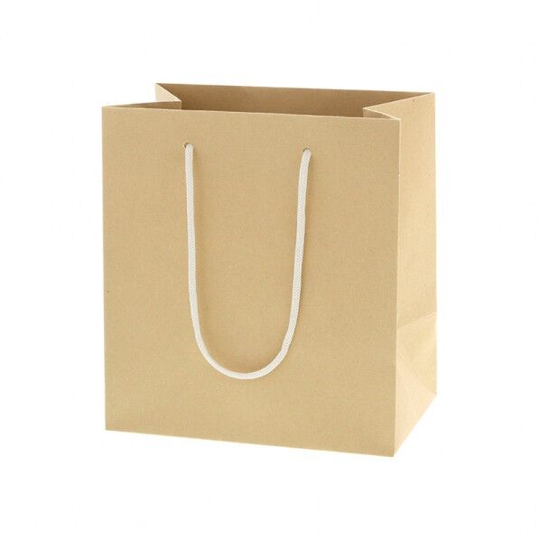 手提げ紙袋 バンブーペーパーバッグ 22-14