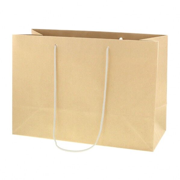 手提げ紙袋 バンブーペーパーバッグ 43-18