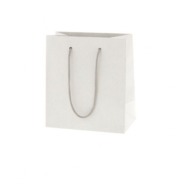 手提げ紙袋 ネイチャーバッグ 18-10