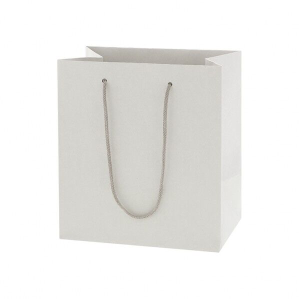 手提げ紙袋 ネイチャーバッグ 22-14