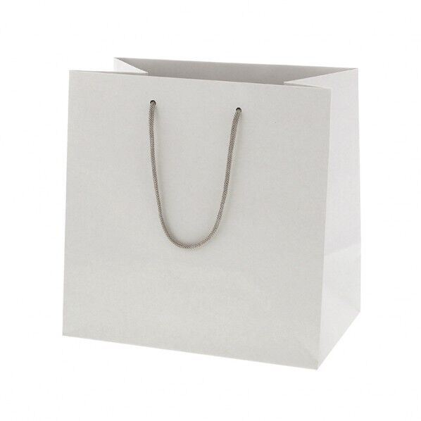 手提げ紙袋 ネイチャーバッグ 27-17