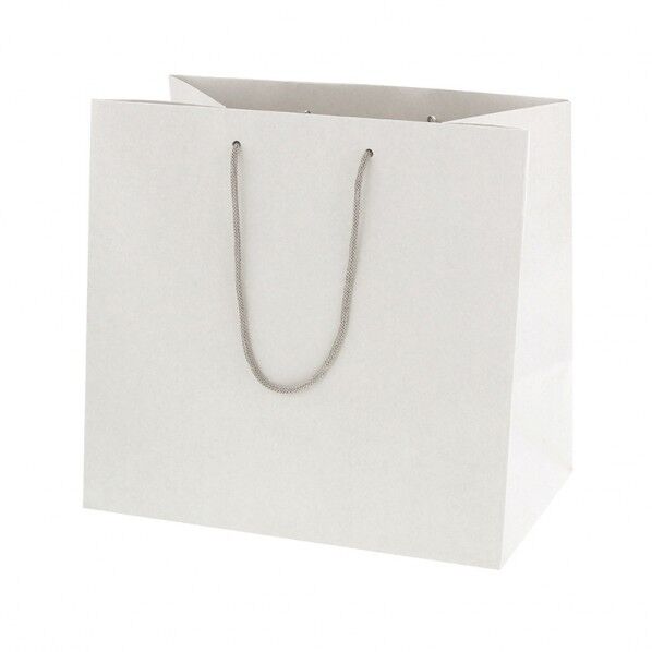 手提げ紙袋 ネイチャーバッグ 32-20