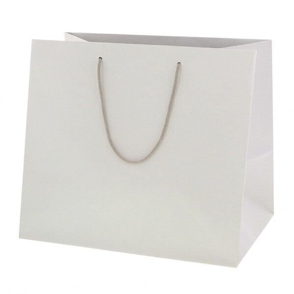 手提げ紙袋 ネイチャーバッグ 37-26