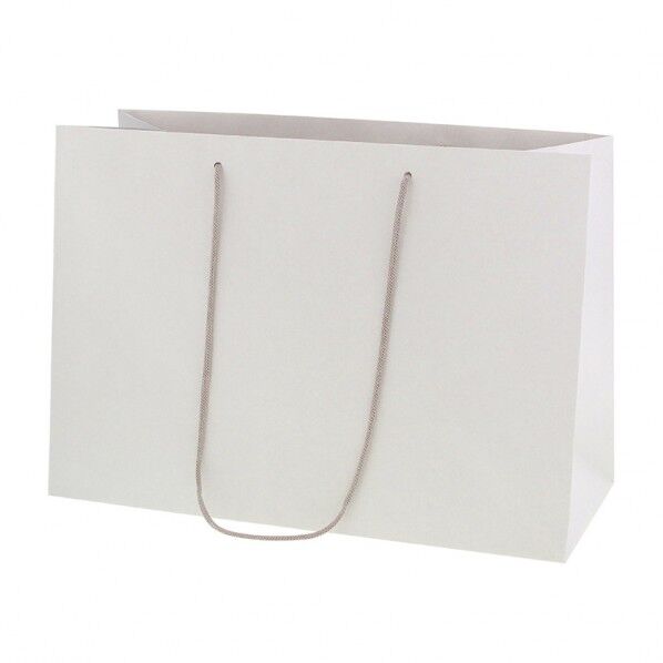 手提げ紙袋 ネイチャーバッグ 43-18