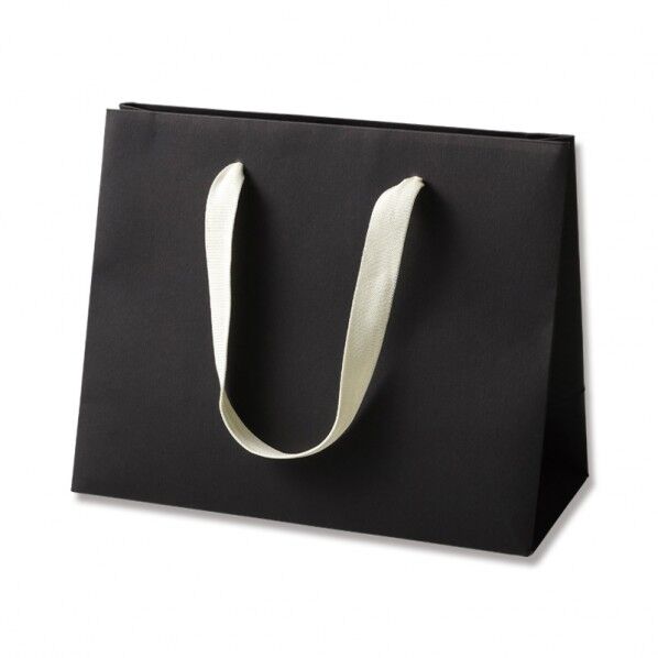 手提げ紙袋 カラーハンドルバッグ LW ブラック
