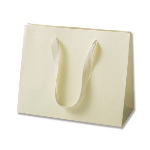 手提げ紙袋 カラーハンドルバッグ LW クリーム
