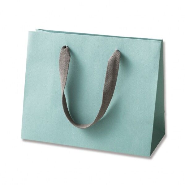 手提げ紙袋 カラーハンドルバッグ LW アクアグリーン