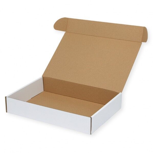 フリーボックス 白無地 F-17