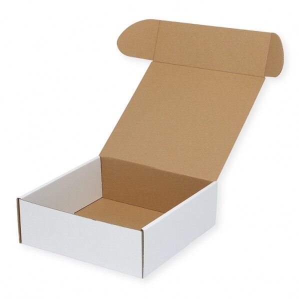 フリーボックス 白無地 F-19