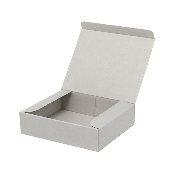 ナチュラルグレーボックス 無地 240×195×60