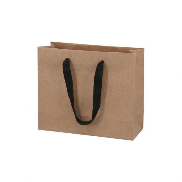 手提げ紙袋 ファッションバッグ SS 未晒無地