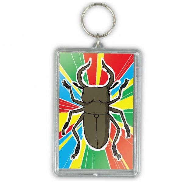 ワンタッチクリアキーホルダー(プレゼントクリアカードケース)