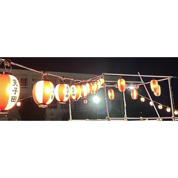 祭り用提灯コード