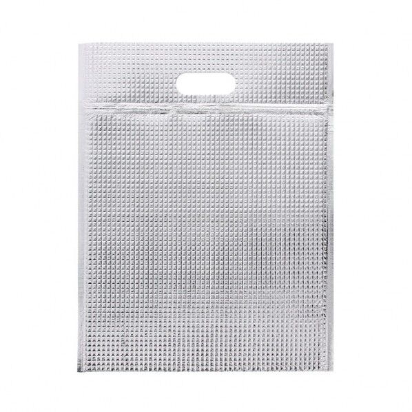 保冷平袋 ジップ付き L