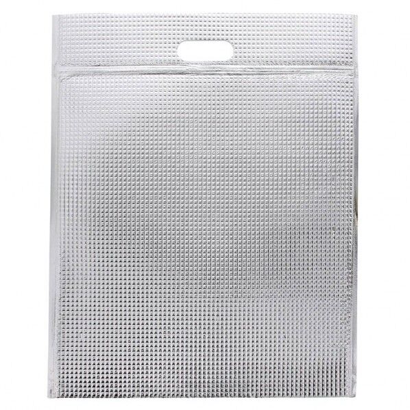 保冷平袋 ジップ付き LL