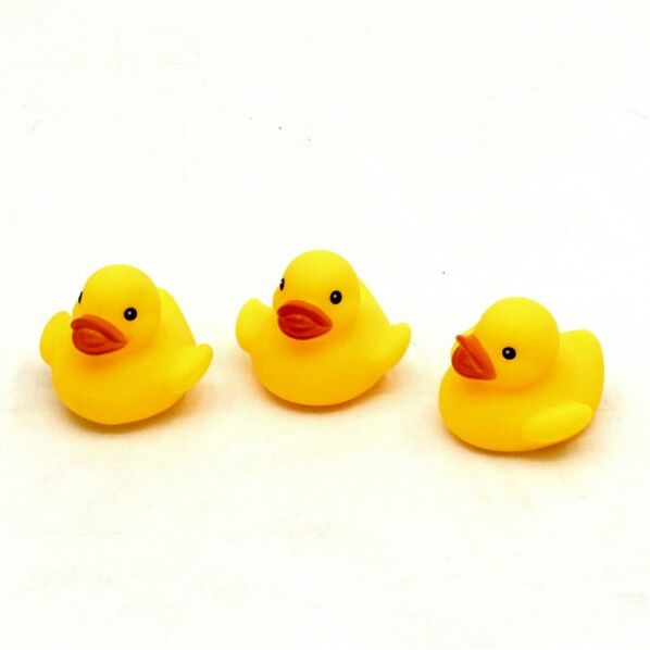 小物玩具 うきうきアヒル 中