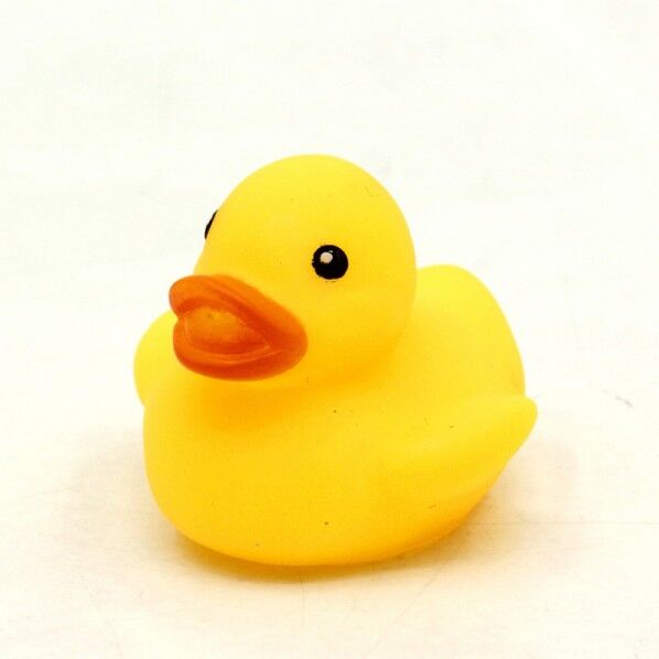 小物玩具 うきうきアヒル 小