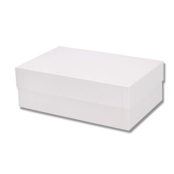 HEIKO 箱 貼り箱 NO.5 スノー 160×250×85mm 006868445 1点