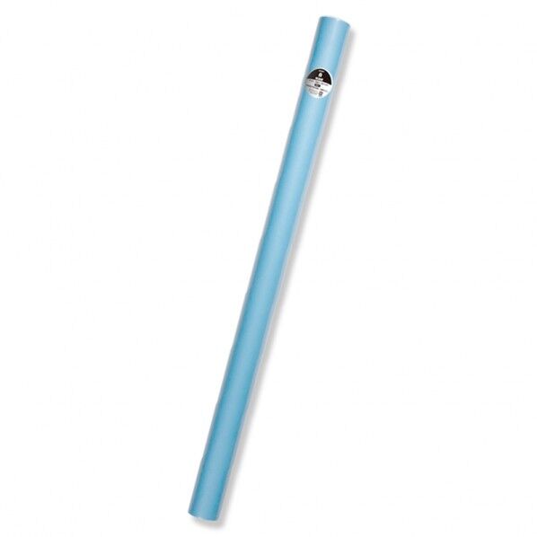 HEIKO カラー模造紙 全判 5枚 ブルー 1091×788mm 2497405 1点