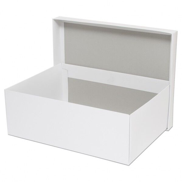 白無地箱 カバン箱 C 10枚 006818800 10枚