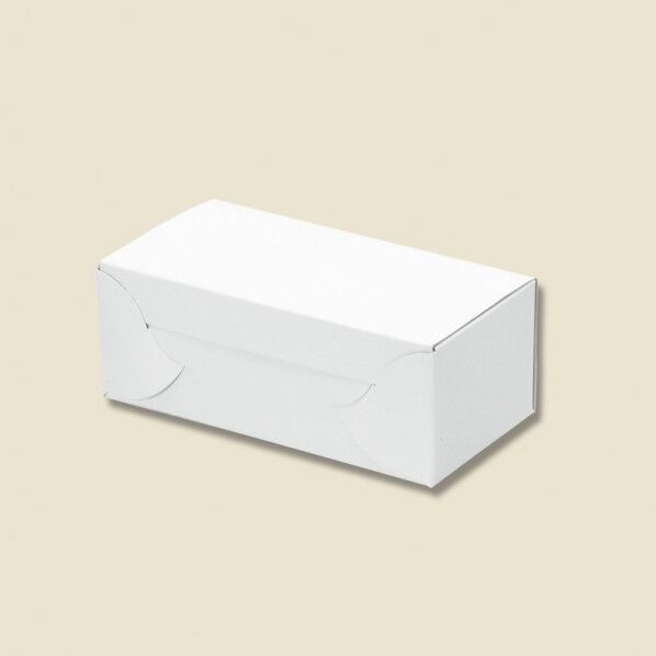 HEIKO 箱 白地カートン 2 10枚 ホワイト 60×122×45mm 004246802 10枚