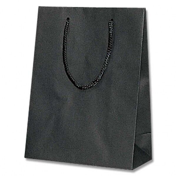 HEIKO 紙袋 Kバッグ T-3 10枚 黒 170×マチ85×230mm 006144102 10枚